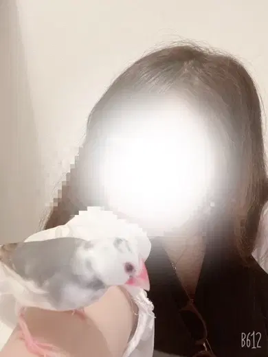 なつち