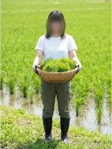 かよ