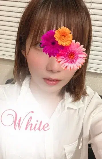 ニコ