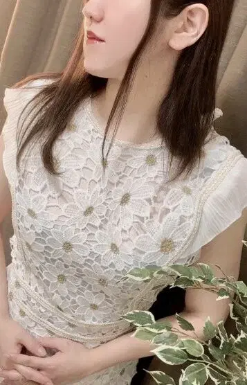 司