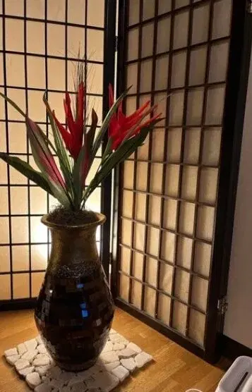 相馬未来