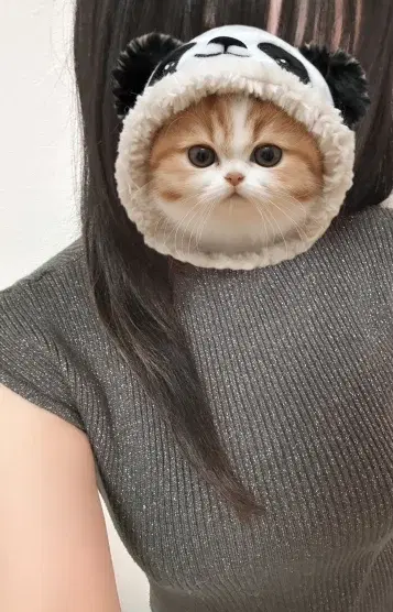 こころ