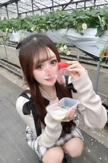 よつは